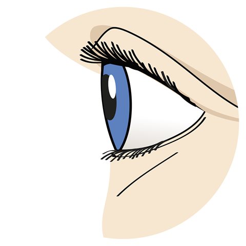 1eye-illustration